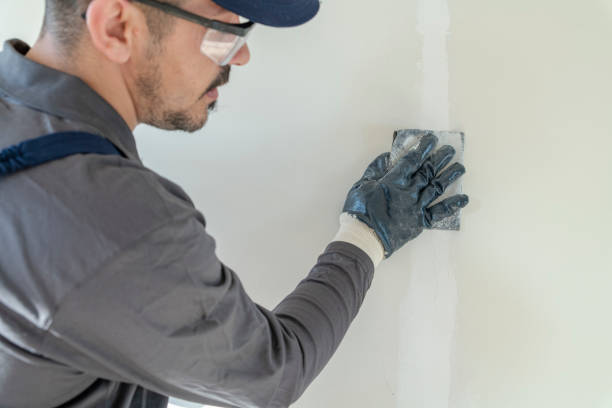 Reliable Daly City, CA Painting & Drywall Installation Solutions