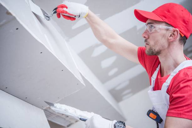 Best Drywall Removal and Disposal  in Daly City, CA